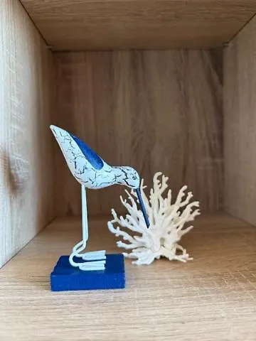 созополски залез *